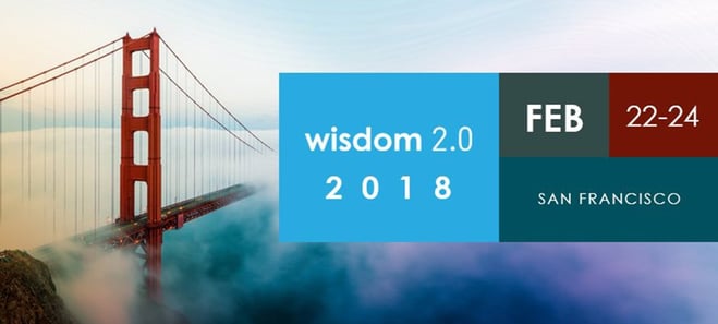 Wisdom 2.0 Banner